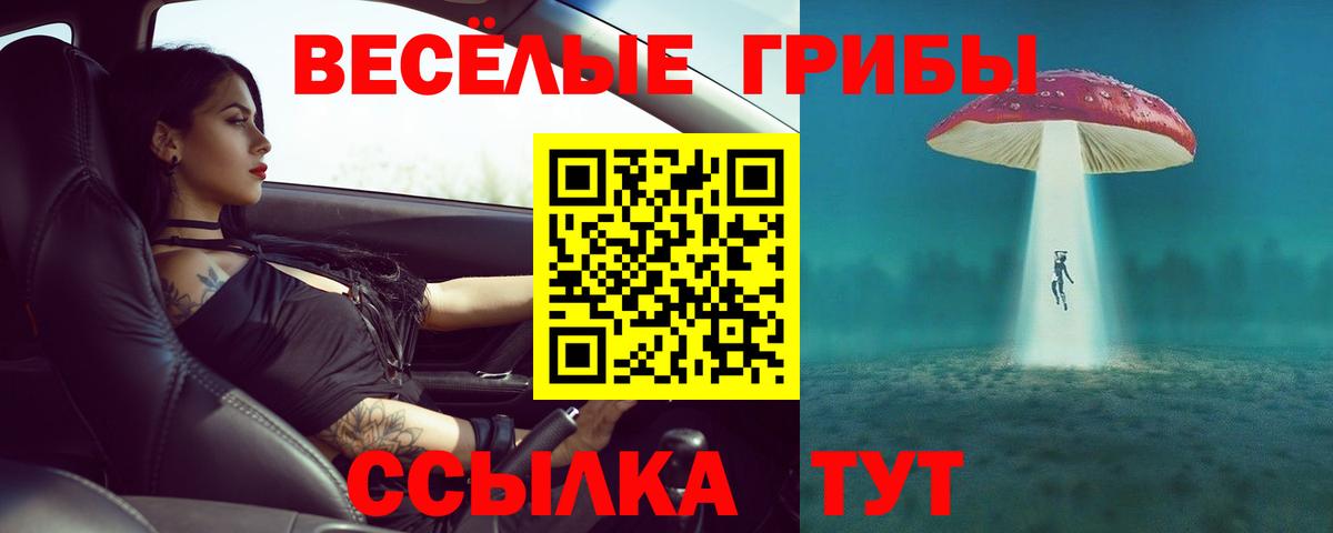 Псилоцибиновые грибы мухоморы  Вход с VPN  купить наркотики цена  Ангарск 